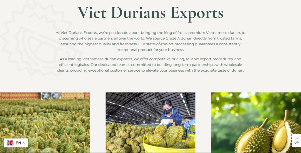 durian2-1024x523